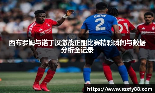 西布罗姆与诺丁汉激战正酣比赛精彩瞬间与数据分析全记录